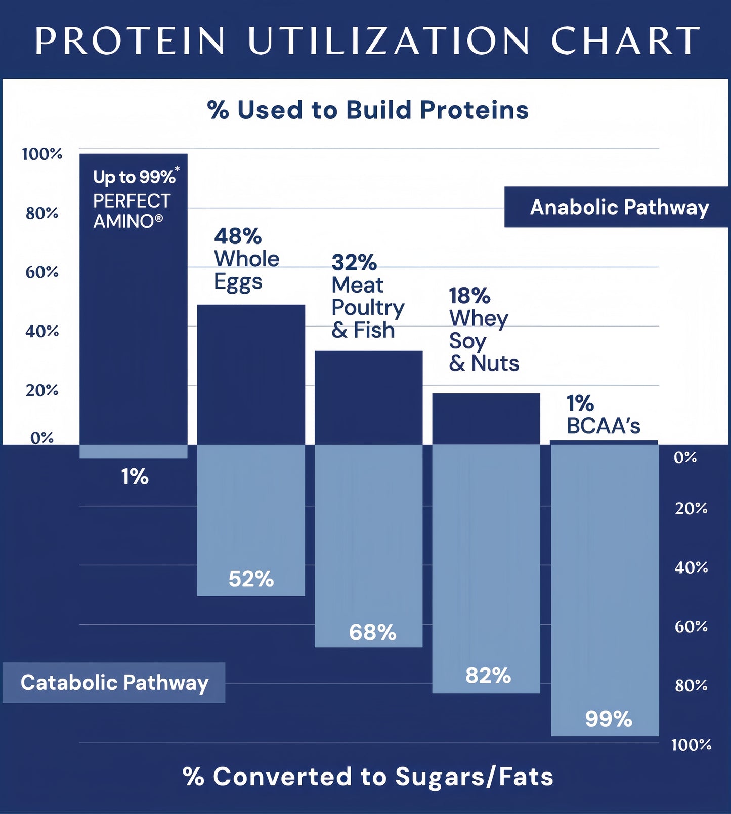 Perfect Amino Powder NSF Certified for Sport