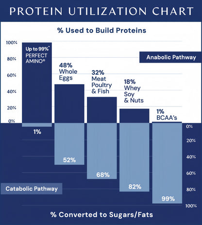 Perfect Amino Powder NSF Certified for Sport