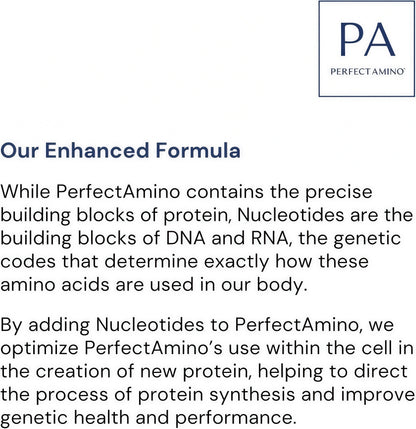 Perfect Amino Powder NSF Certified for Sport